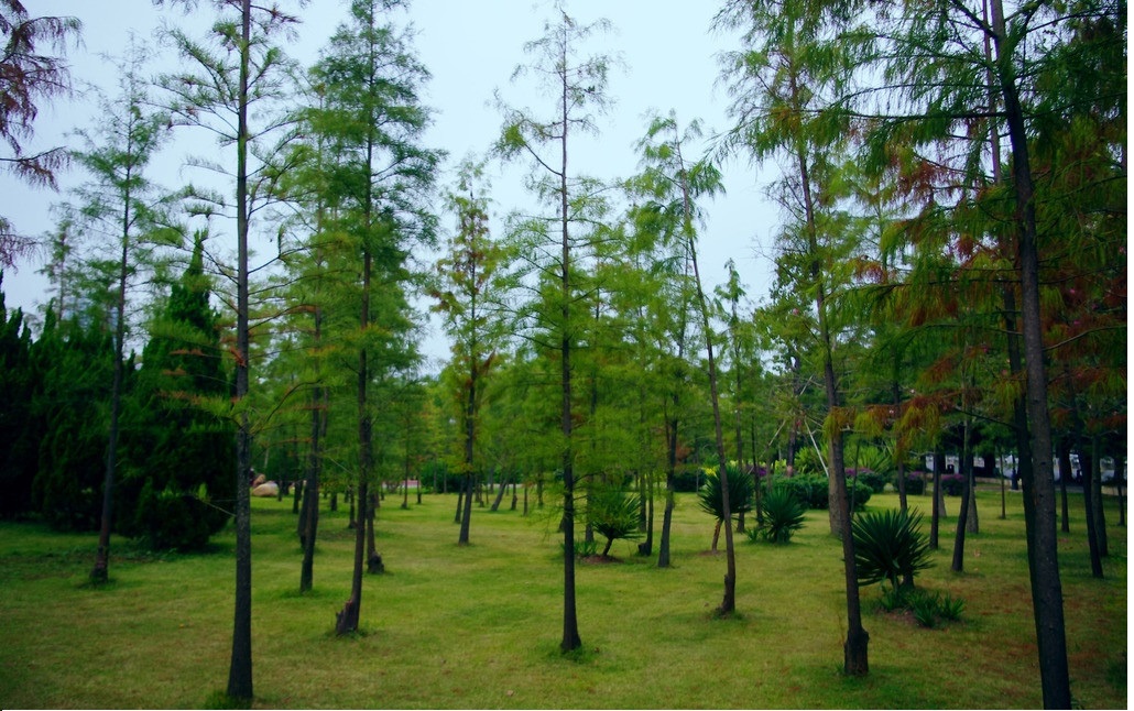 西安渭北臨潼現代工業(yè)組團綠化養(yǎng)護項目