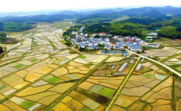 西安市臨潼區(qū)農村“房地一體”宅基地和集體建設用地不動產權籍調查牽頭服務采購項目、地權籍調查服務采購項目