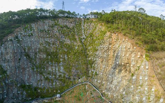 洛南縣嶺南石英礦礦山地質環(huán)境恢復治理項目