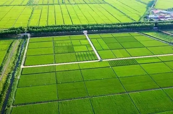 張家口市宣化區(qū)2019 年高標(biāo)準(zhǔn)農(nóng)田建設(shè)項目監(jiān)理第三標(biāo)段